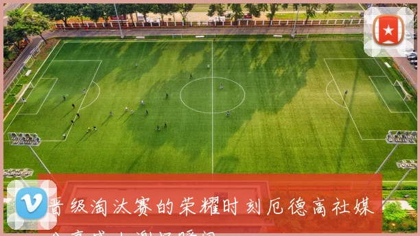 晋级淘汰赛的荣耀时刻厄德高社媒分享感人谢场瞬间